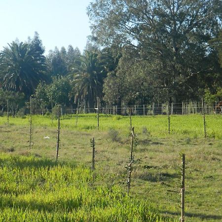 Casa De Campo Lo De Fatsia Colonia del Sacramento Szoba fotó