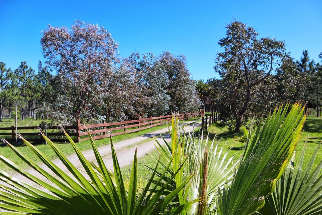 Casa De Campo Lo De Fatsia Colonia del Sacramento Kültér fotó