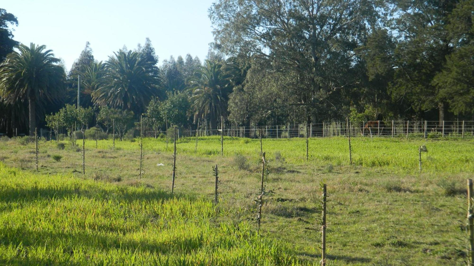 Casa De Campo Lo De Fatsia Colonia del Sacramento Szoba fotó